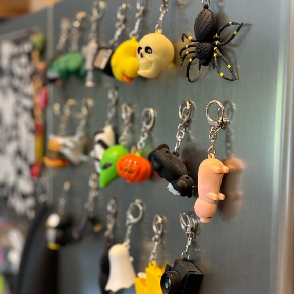 19 keychains - selling all together for one price. - Picture 4 of 7